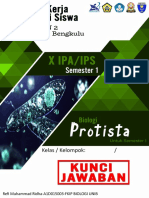 PROTISTA