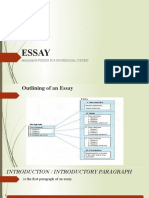 Essay: Paragraph Writing For Professional Context
