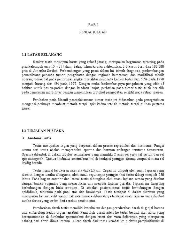 Kanker Testis: Mengenal Lebih Dekat, Deteksi Dini, dan Harapan Kesembuhan