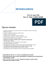 Temel Eczacılık Kurulu IV-Lipid Metabolizması