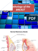 Pathology of Breast Diseases