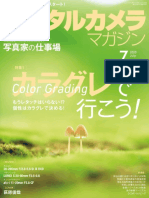 Color Grading (JAP) 2020-06