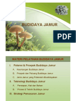 Budidya Jamur