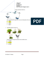 Latihan Soal - Biologi - 20 - April - 2020