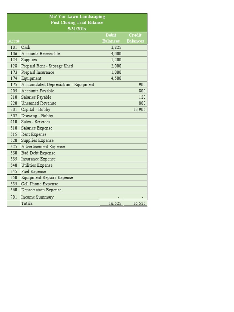 Acc 101 Project 1 Template and Start File - Marso, Christine Joy | PDF ...