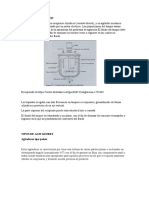 Grupo 5 Avance 1