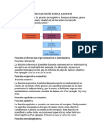 Funciones Del Lenguaje Según Roman Jakobson