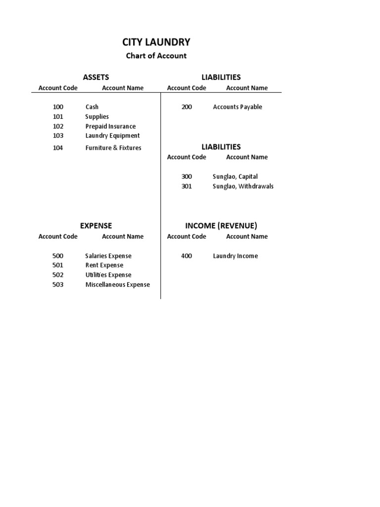 City Laundry Chart of Account Assets Liabilities PDF Debits And