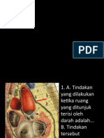 pretest imo anat cardio