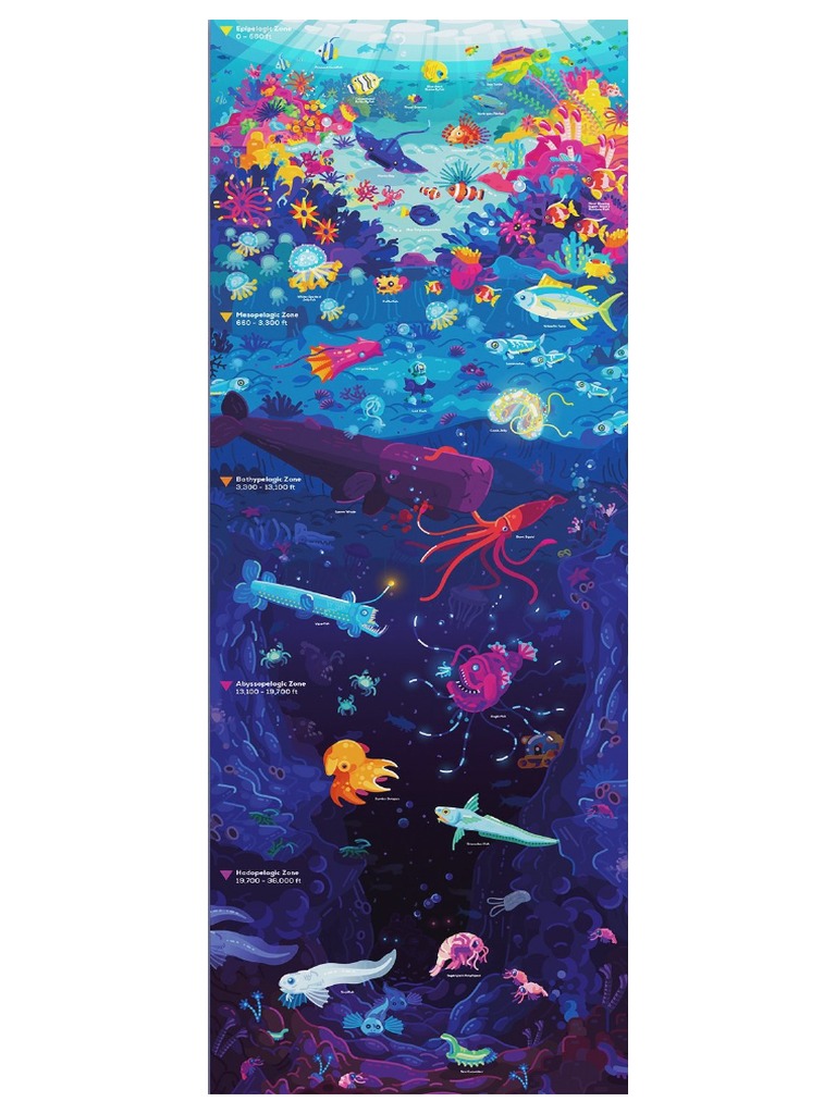 Kurzgesagt in A Nutshell Deep Sea Poster by Kurzgesagt PDF