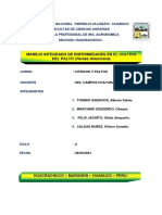 Informe Grupo N°03 Manejo Integrado de Enfermedades Del Palto