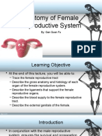 L6 - Anatomy of Female Reproductive System