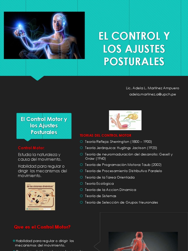 CLASE Control Motor y Ajuste Postural PDF Músculo Coordinación