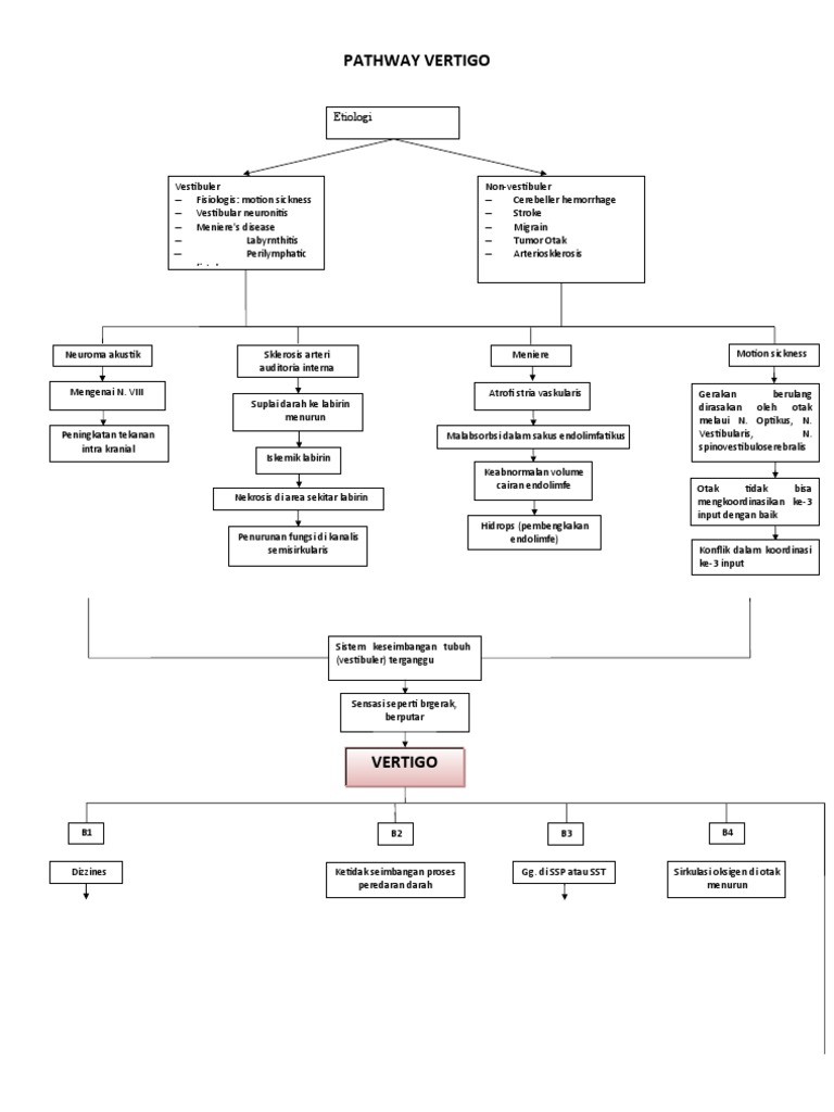 Jalur Diagnostik Vertigo dan BPPV | PDF