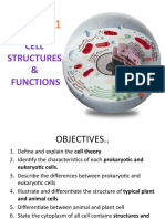 FET CP 1 Cell Structure & Functions