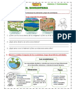 Los Ecosistemas