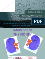 Block 3.3 Sesi 3 Pathology of Urinary Tract: by Asdos 2011: Vetta Awe Eric Lily Fiko Ghana Ikal Linda May Fahmi