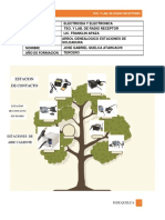 Arbol Genealogico Estaciones