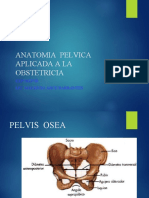 Anatomía pélvica aplicada a la obstetricia: diámetros y tipos de pelvis