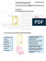 Cheek and Onion Cell