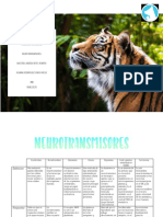 Neurotransmisores