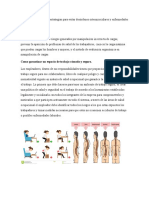 Manual de Prevención y Estrategias para Evitar Desórdenes Osteomusculares y Enfermedades Laborales