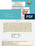 Caso y Revisión de Trauma Uretral