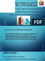 Diapositivas de PCR