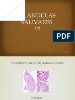 Glandulas Salivares
