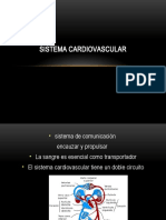 Sistema Cardiovascular