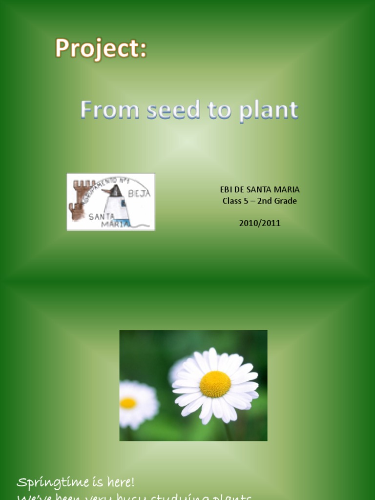 Exploring Seed Growth in 2nd Grade | PDF | Environmental Design ...