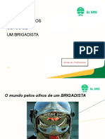 Nome Do Treinamento: O Mundo Pelos Olhos de Um Brigadista