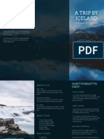 Visit Iceland Brochure