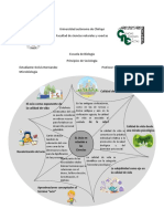 Mapa Telaraña Sociologia