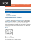 Pronombres Reflesivos