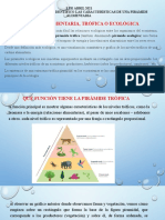 3 de Abril 2021 Ambiental Septimo