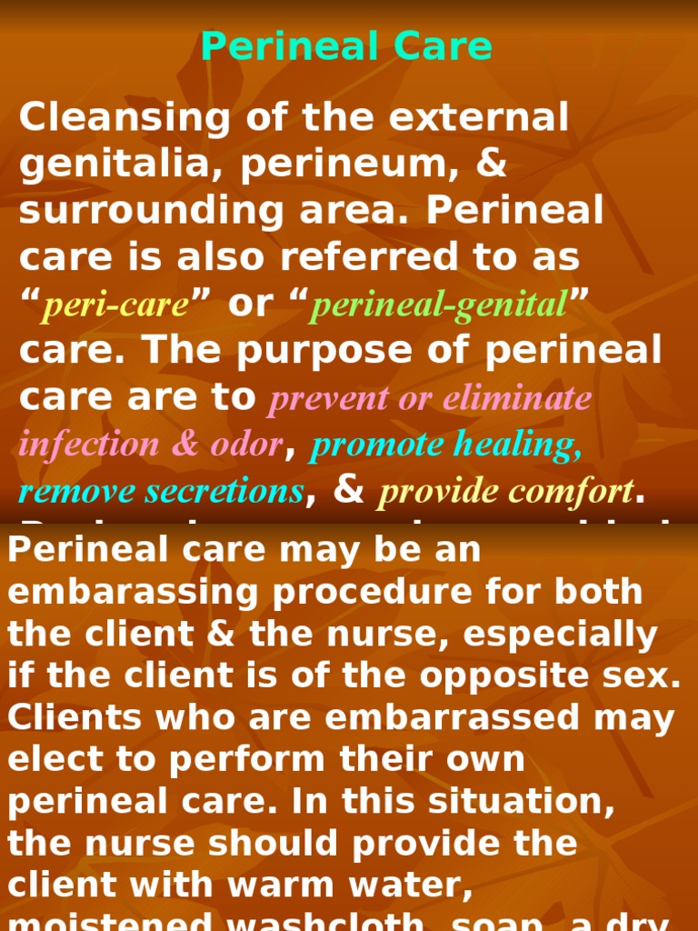 perineal care Labia Clitoris