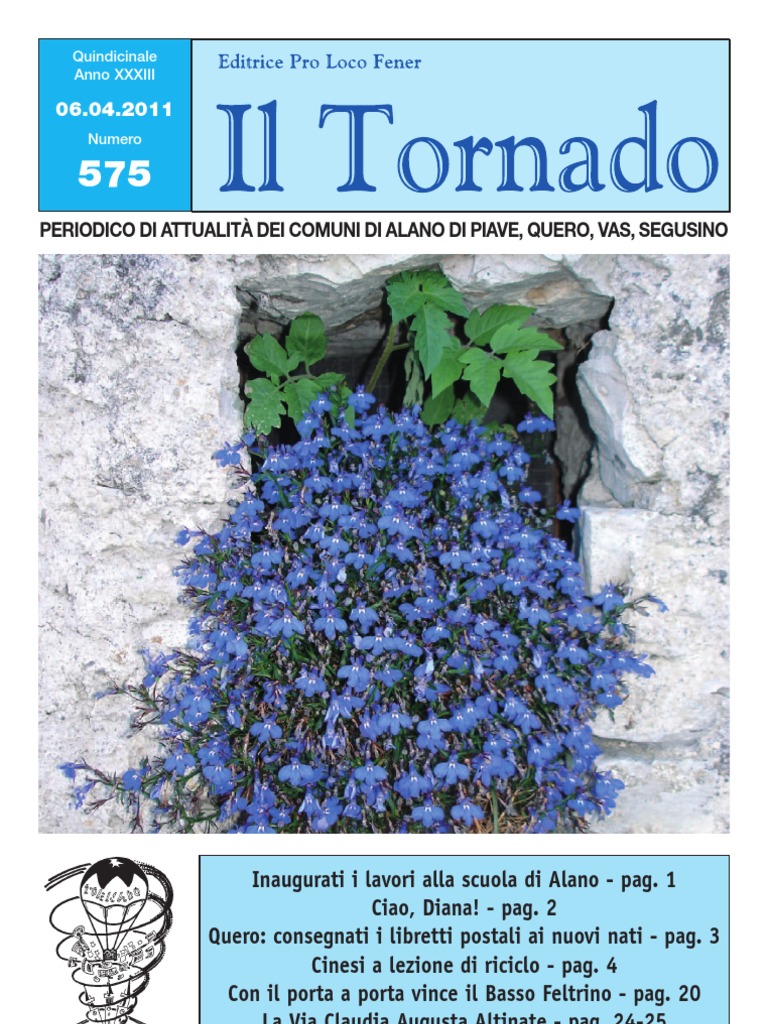 Torino 2010 - Ordine degli Ingegneri della provincia di Vicenza, image size:768x1024