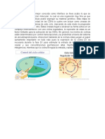 Regulacion Molecular de La Mitosis