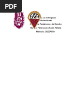 Normas y actos jurídicos