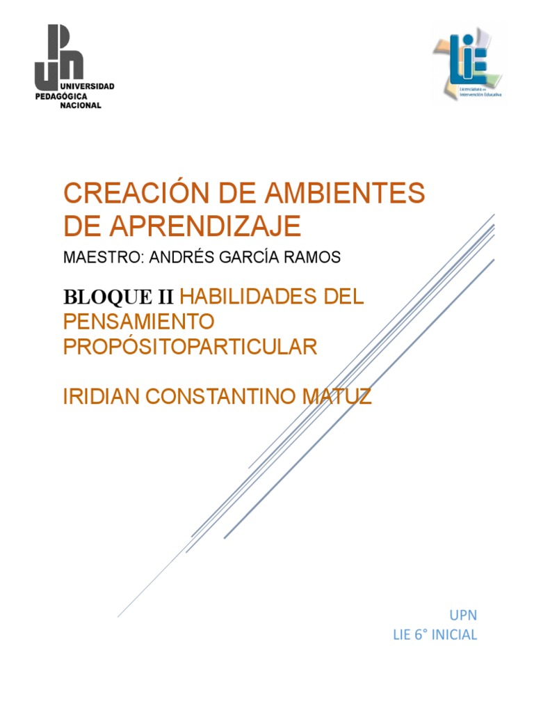 Habilidades del Pensamiento en Educación | PDF | Aprendizaje | Motivación