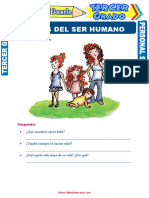 Etapas del desarrollo humano