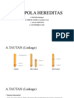 Pola Pola Hereditas