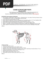 Canine Acupuncture Points Guide | PDF | Anatomical Terms Of Location ...