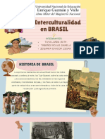 Interculturalidad en Brasil