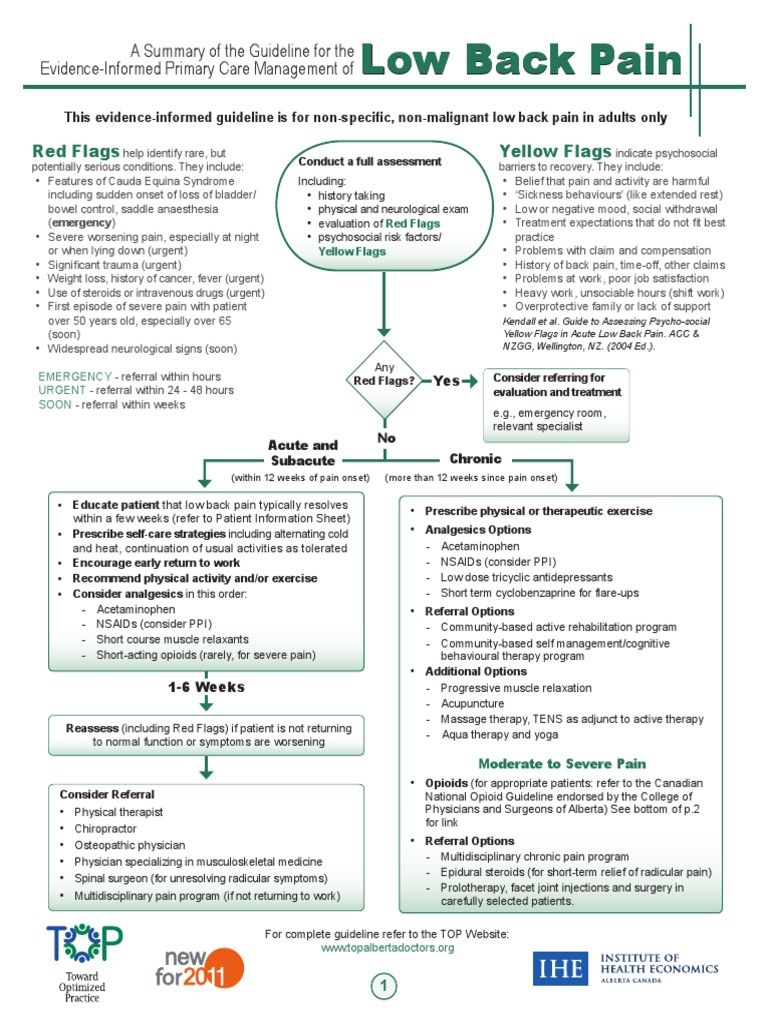 Low Back Pain Summary FinalChanges | PDF | Opioid | Pain