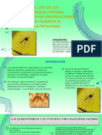 Paleoecología-El Uso de Los Quironómidos Fósiles