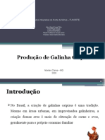 Produção de galinhas caipiras