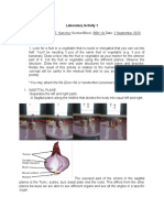 Sanchez Anaphy Mc1 BSN 1a Lab 1