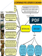 Mapa Conceptual Plantilla 13